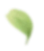 Image title